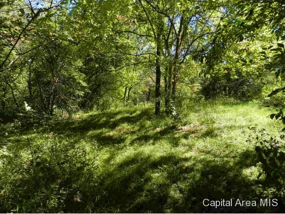 Lot 7 Hickory Road Athens, IL 62613 - Photo 8 of 24 Gallery Image 8
