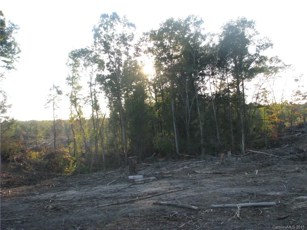 30 Neely Store Road Rock Hill, SC 29730 - Photo 2 of 5 a view of a yard with trees in the background