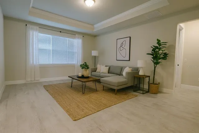 a living room with furniture and a potted plant
