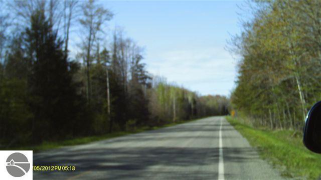 Healey Lake Road Thompsonville, MI 49683 - Photo 11 of 14 1735748-12.JPG