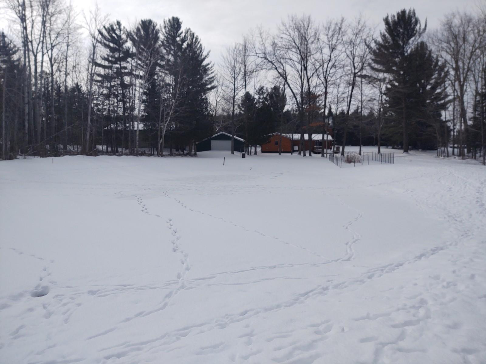 7660 Witt Road Alpena, MI 49707 - Photo 10 of 20 Gallery Image 10