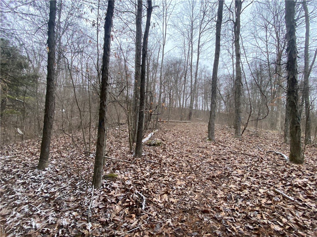 33661 Dog Hollow Road Barnesville, OH 43713 - Photo 37 of 40 Gallery Image 37