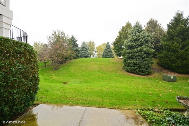 898 Riding Lane, Unit 898 St. Charles, IL 60174 - Photo 5 of 10 a view of a yard with plants and a bench