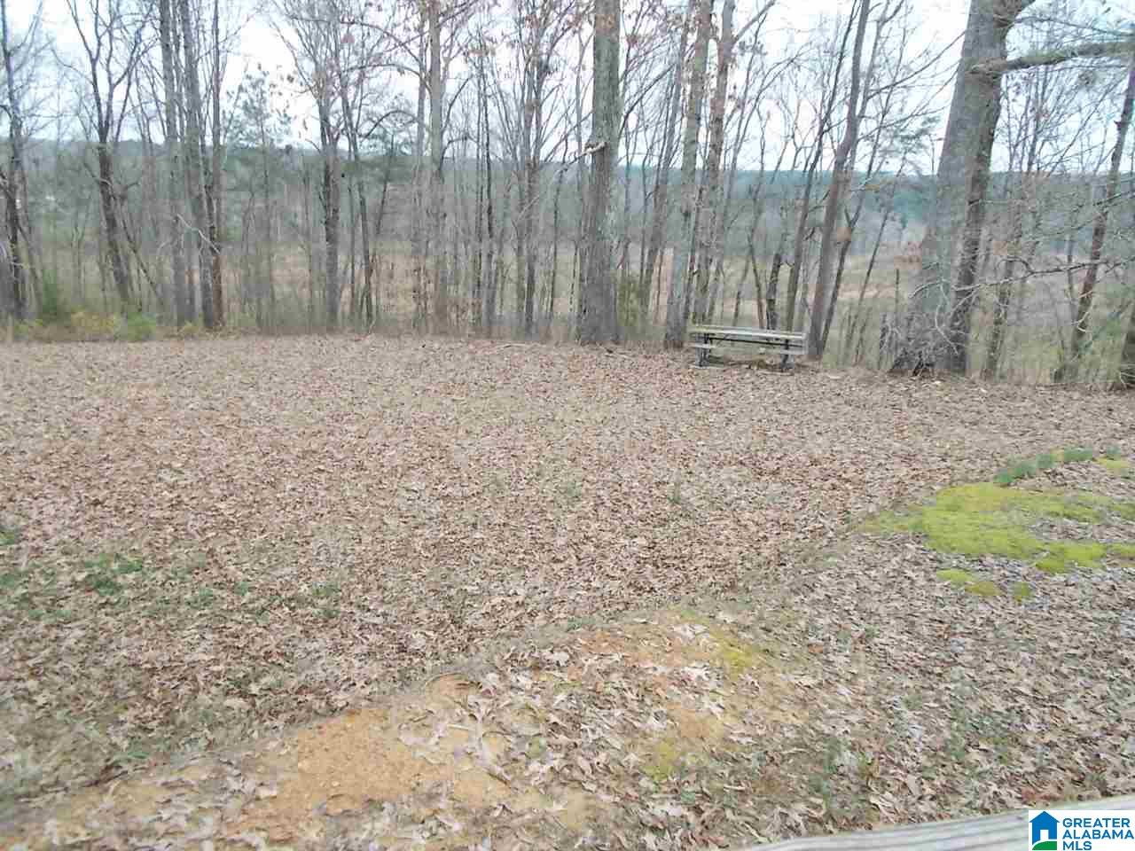 3108 Hull Road Empire, AL 35063 - Photo 25 of 44
