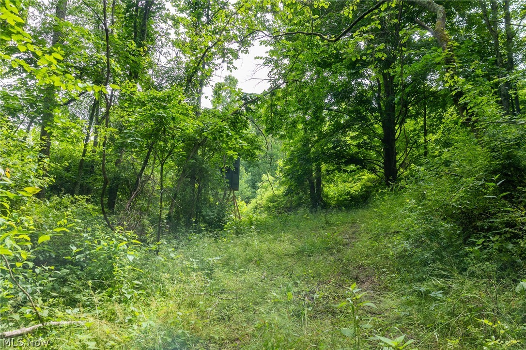 Kinnen Road Caldwell, OH 43724 - Photo 29 of 37