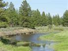 14444 Sprague River Road Chiloquin, OR 97624 - Photo 4 of 8 Additional Photo