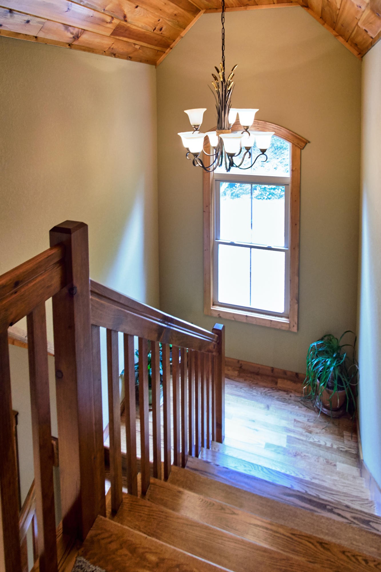 861 Laurel Road Townsend, TN 37882 - Photo 22 of 40 Gallery Image 22