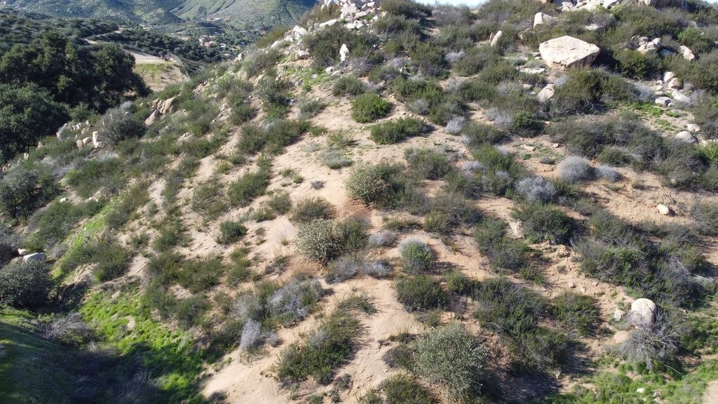 7 Turtle Creek Rd Lake Menifee, CA 92584 - Photo 17 of 20