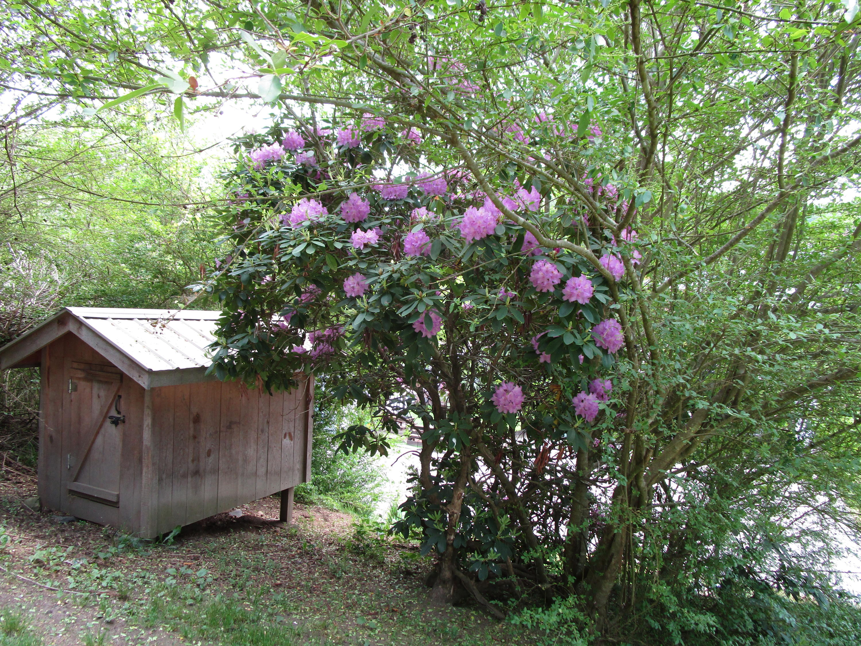 4889 Couch Road Coeburn, VA 24230 - Photo 26 of 29 IMG_0706