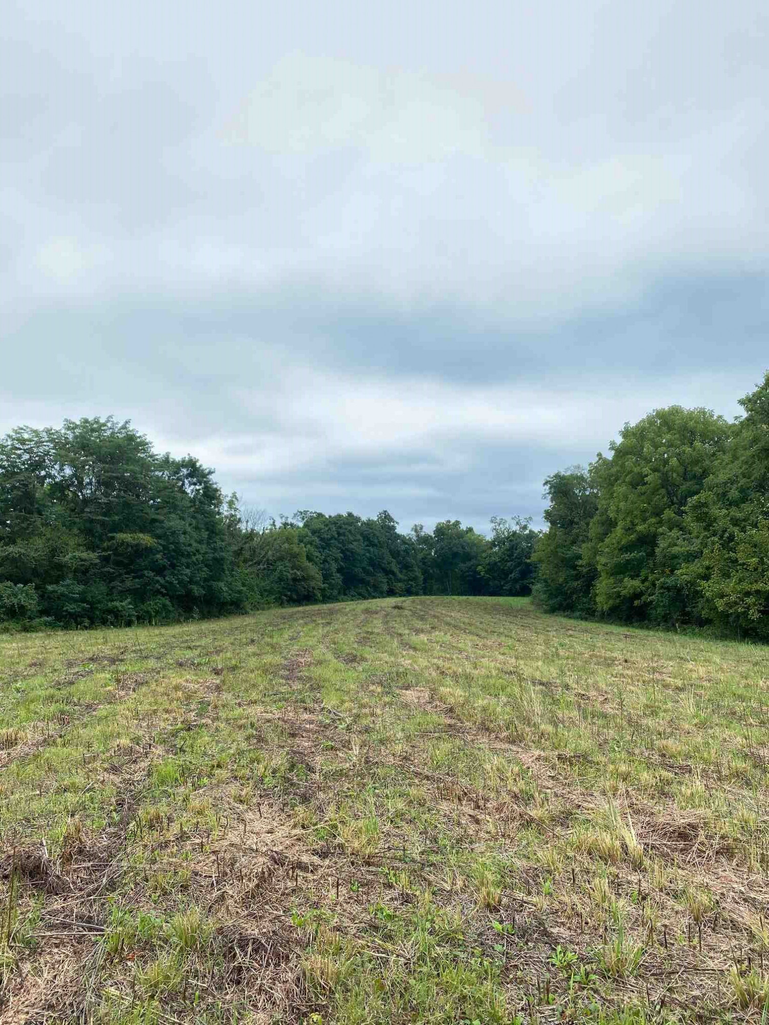 3 Baton Rouge Road Williamstown, KY 41097 - Photo 16 of 25