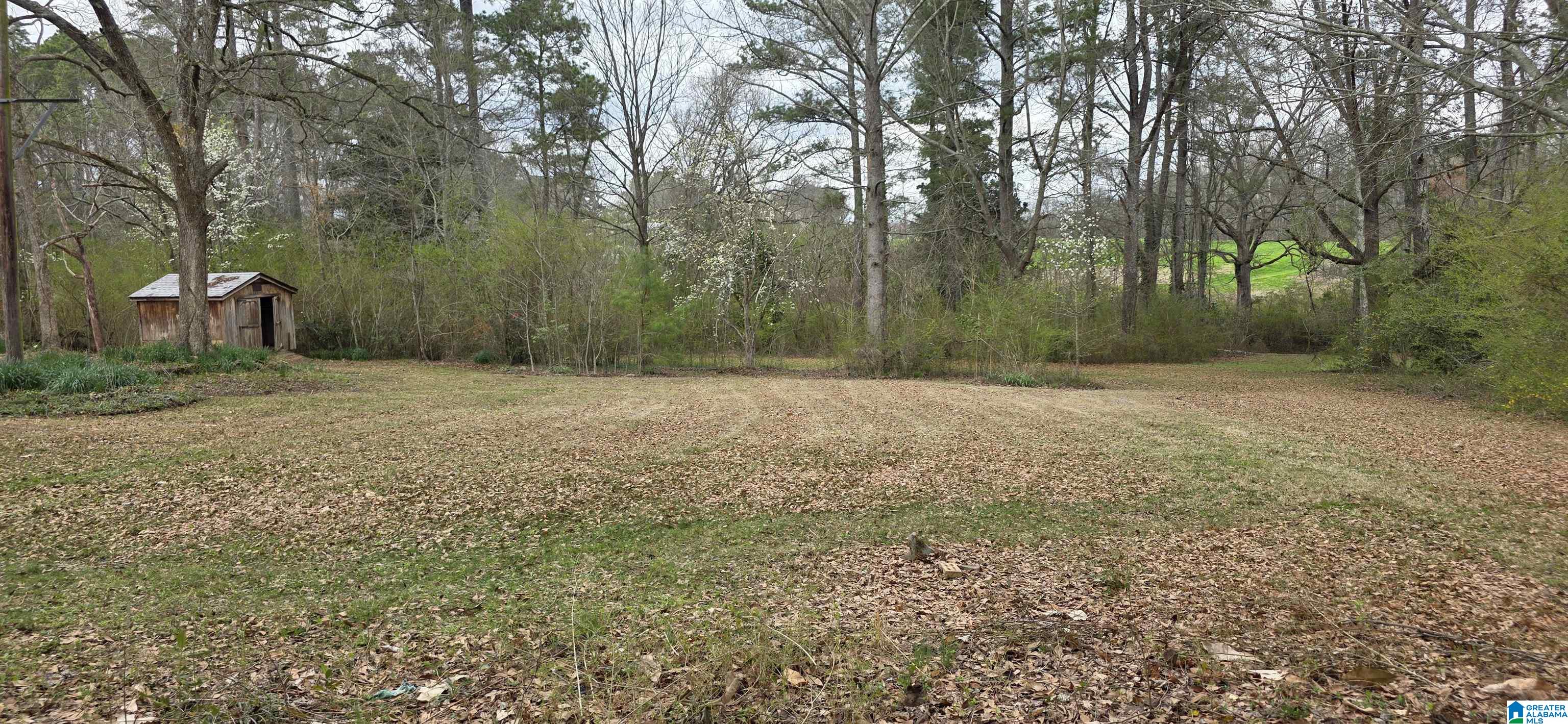 Lot 7 Goehler Road, Unit 7B Cullman, AL 35055 - Photo 3 of 5