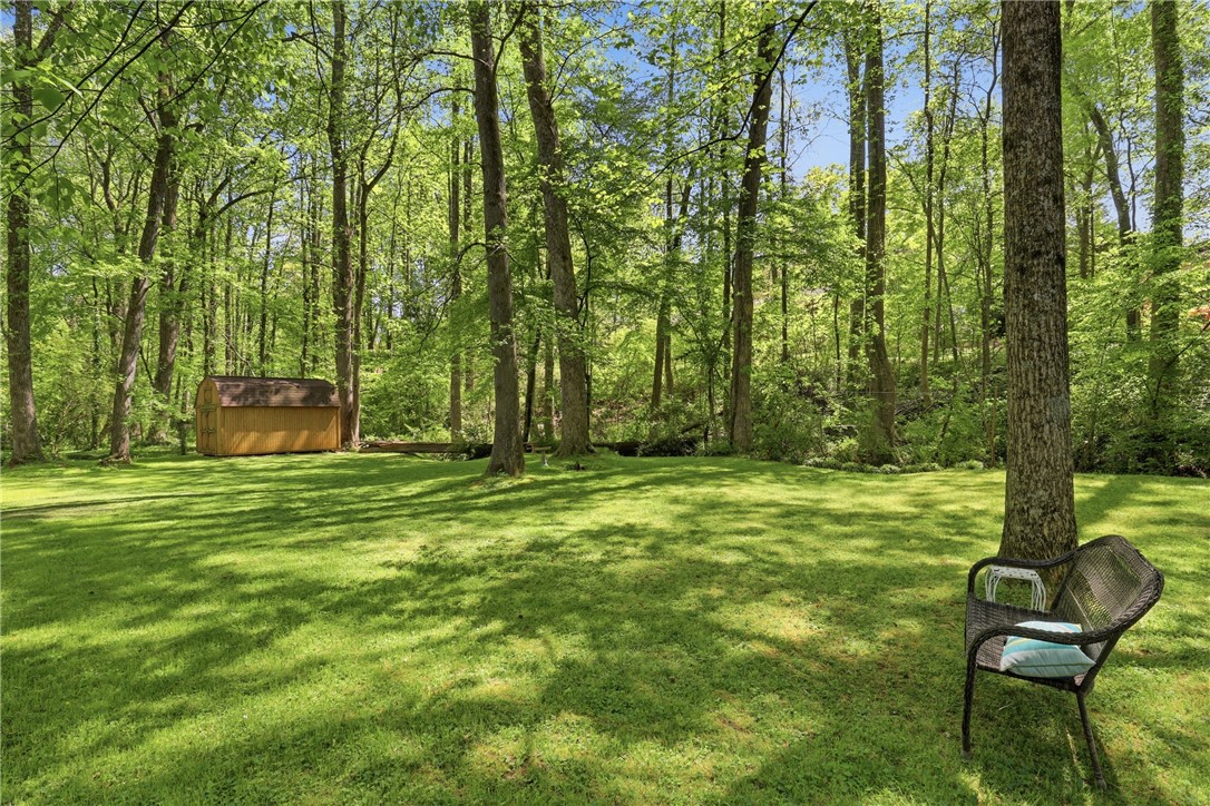 110 Shaftsbury Road Clemson, SC 29631 - Photo 24 of 38 A verdant lawn framed by mature trees provides a private and serene outdoor retreat.