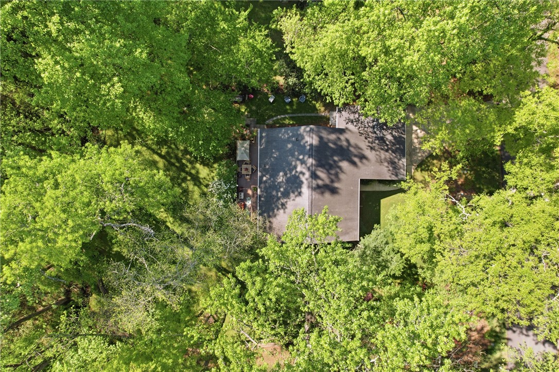 110 Shaftsbury Road Clemson, SC 29631 - Photo 32 of 38 An aerial perspective showcases a private residence nestled amidst a vibrant canopy of mature trees.