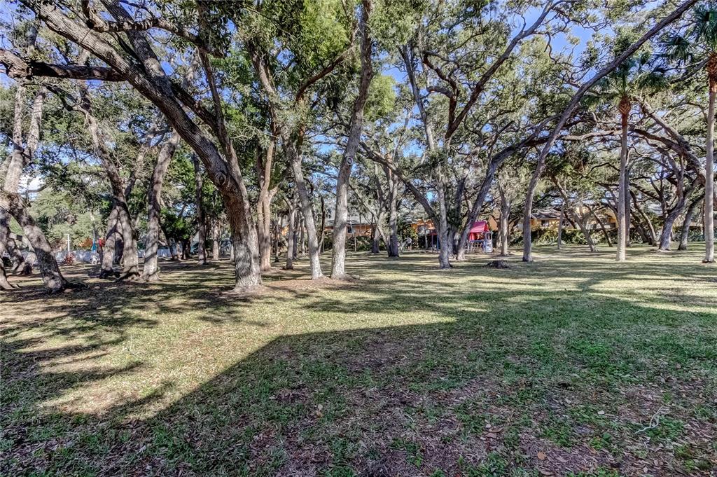 3650 41st Way South, Unit A St. Petersburg, FL 33711 - Photo 31 of 35 a view of outdoor space with trees
