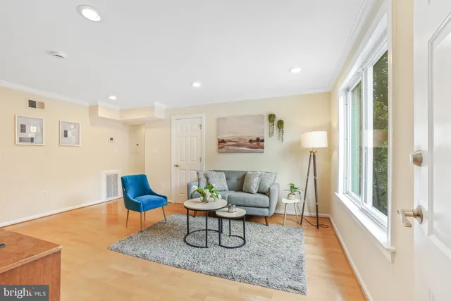 a living room with furniture and a rug