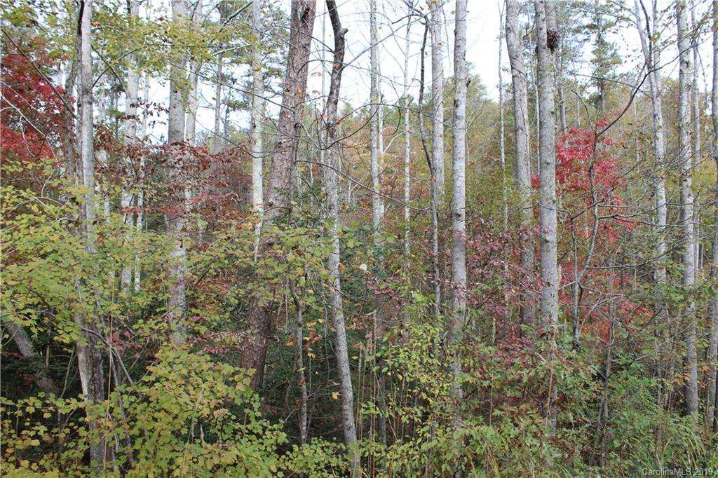 0 Sulphur Springs Rutherfordton, NC 28139 - Photo 11 of 31 Gallery Image 11
