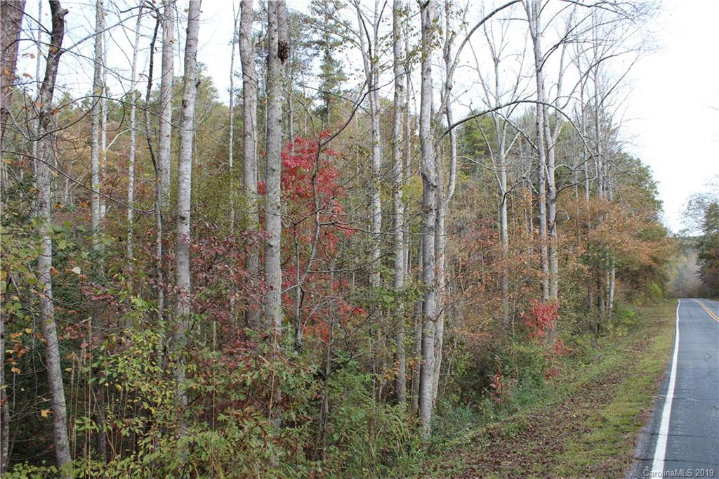0 Sulphur Springs Rutherfordton, NC 28139 - Photo 13 of 31 Gallery Image 13