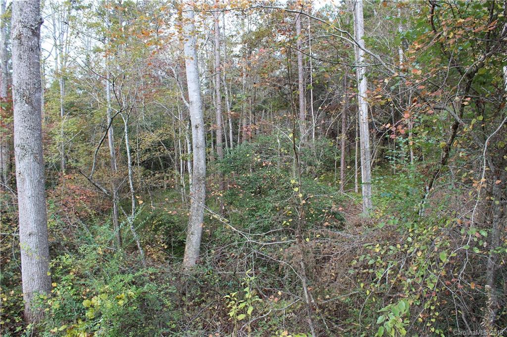 0 Sulphur Springs Rutherfordton, NC 28139 - Photo 14 of 31 Gallery Image 14