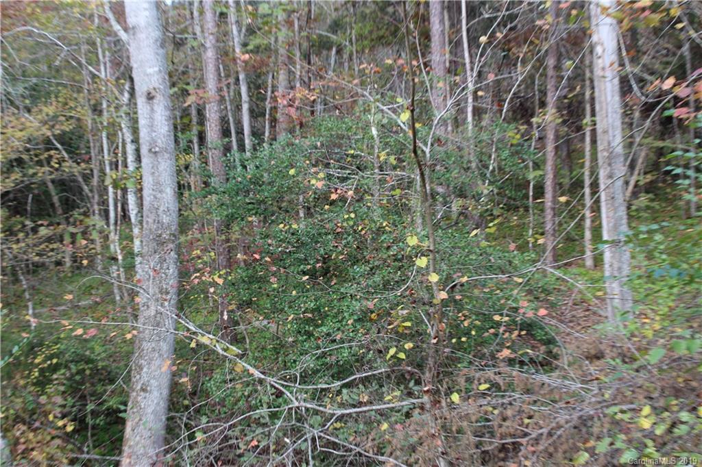 0 Sulphur Springs Rutherfordton, NC 28139 - Photo 15 of 31 Gallery Image 15