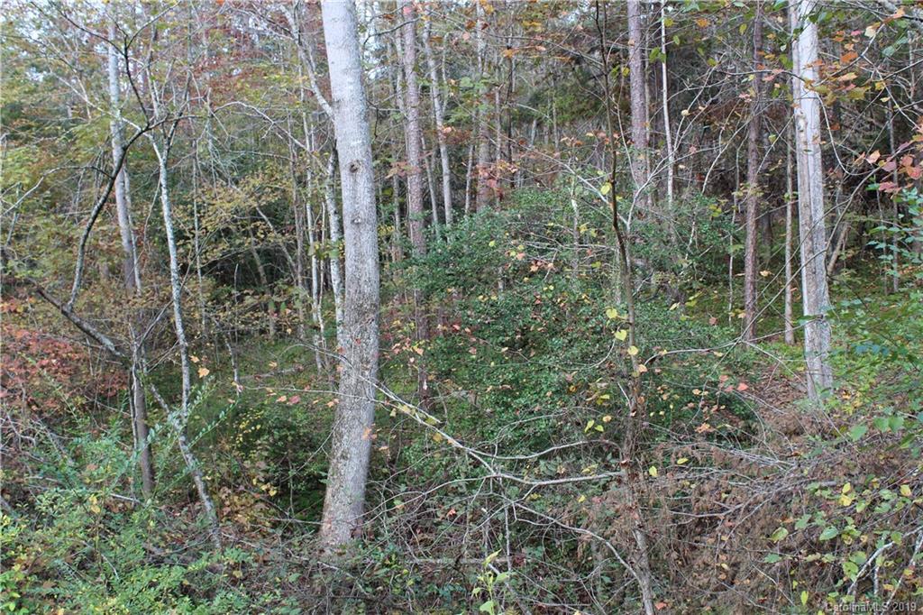 0 Sulphur Springs Rutherfordton, NC 28139 - Photo 16 of 31 Gallery Image 16