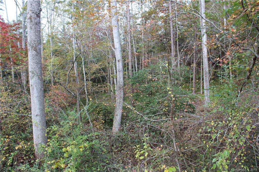 0 Sulphur Springs Rutherfordton, NC 28139 - Photo 17 of 31 Gallery Image 17