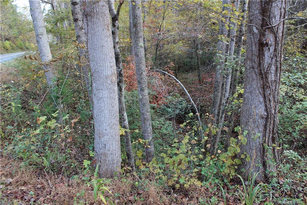 0 Sulphur Springs Rutherfordton, NC 28139 - Photo 18 of 31 Gallery Image 18