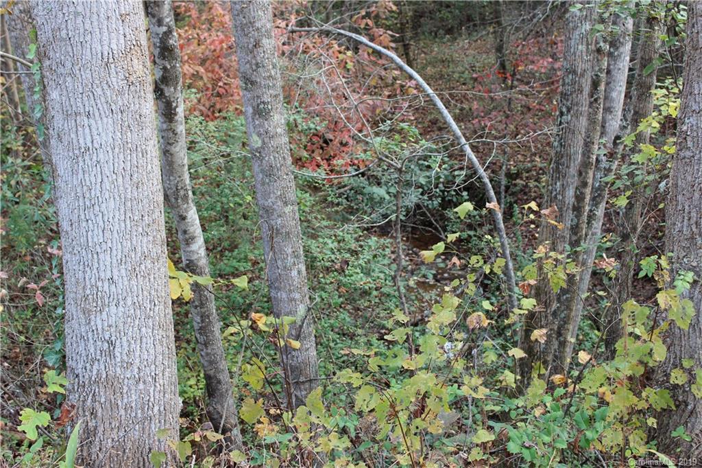 0 Sulphur Springs Rutherfordton, NC 28139 - Photo 19 of 31 Gallery Image 19