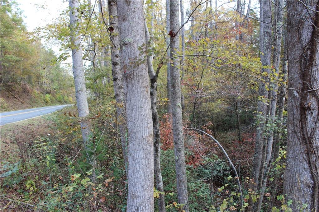 0 Sulphur Springs Rutherfordton, NC 28139 - Photo 20 of 31 Gallery Image 20