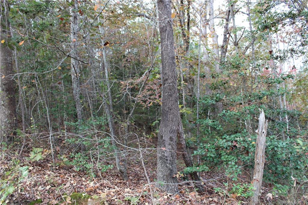 0 Sulphur Springs Rutherfordton, NC 28139 - Photo 23 of 31 Gallery Image 23