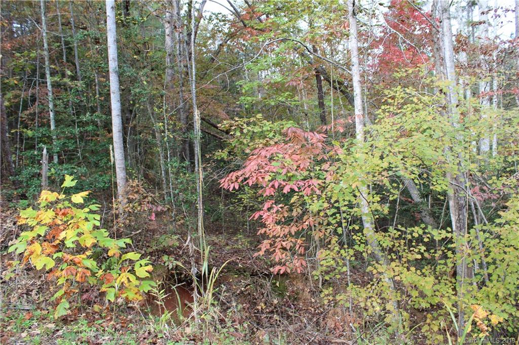 0 Sulphur Springs Rutherfordton, NC 28139 - Photo 9 of 31 Gallery Image 9