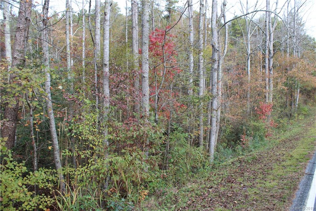 0 Sulphur Springs Rutherfordton, NC 28139 - Photo 10 of 31 Gallery Image 10