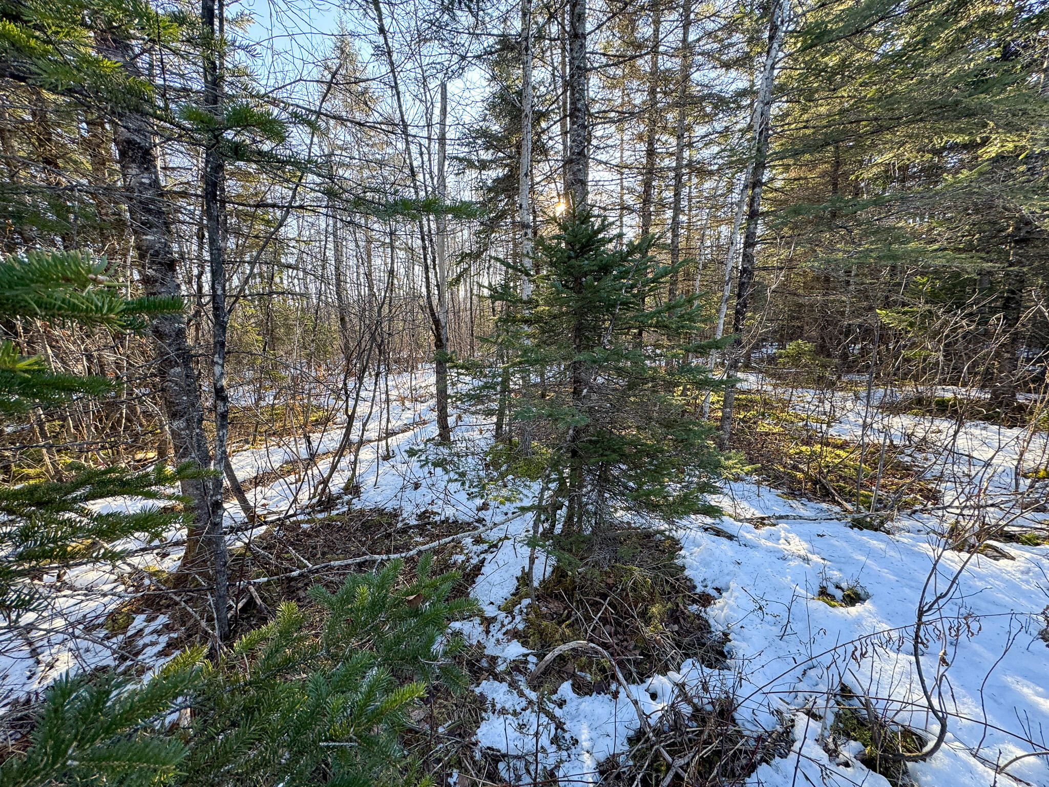 M2-l24b McIntyre Road Woodland, ME 04736 - Photo 18 of 39 IMG_0364