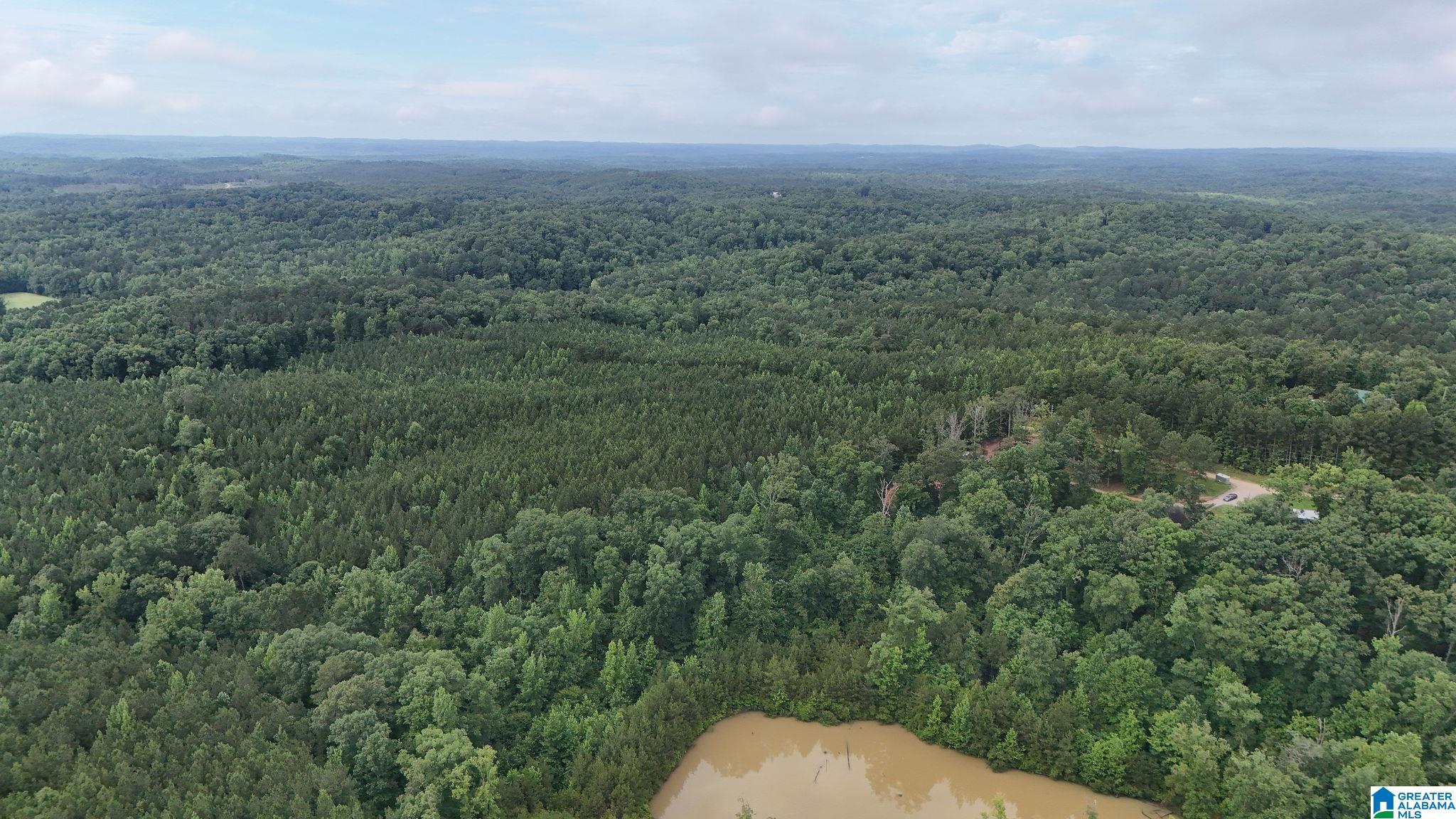 0 Skyview Lake Road Cottondale, AL 35453 - Photo 8 of 22