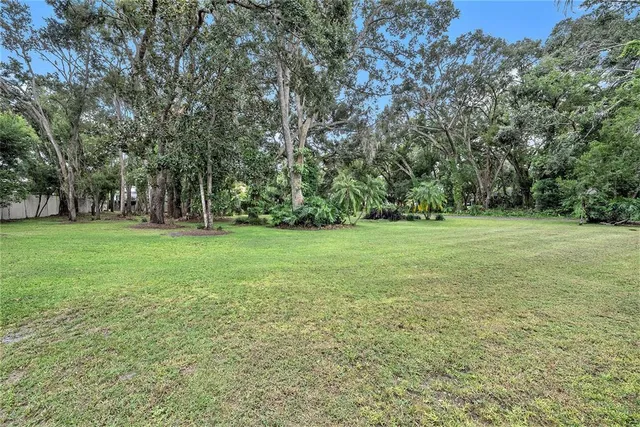 a view of a grassy field with trees