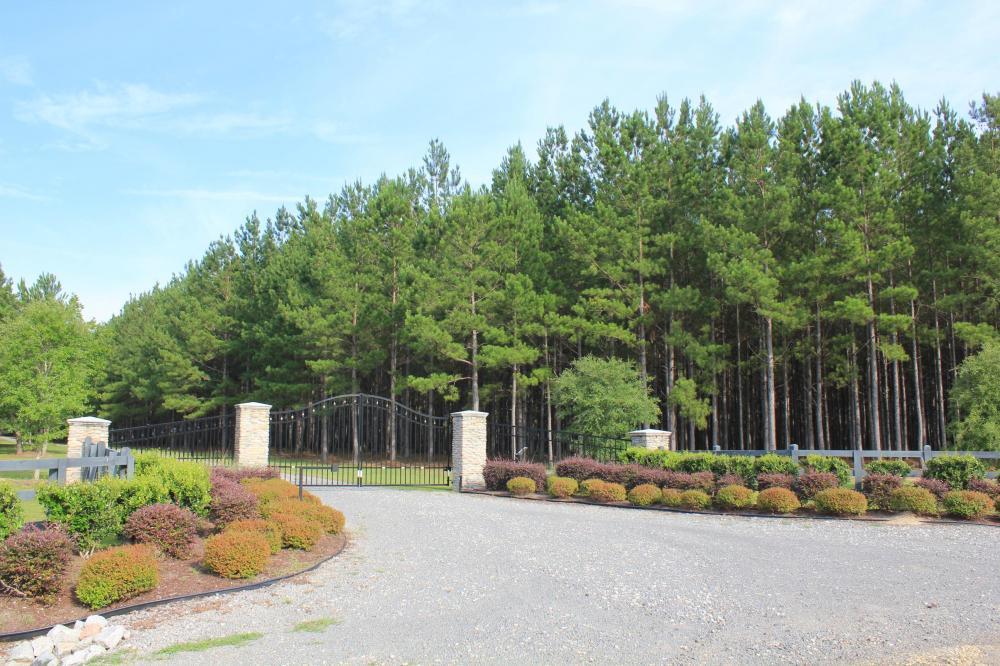 0 Wee Tee Road Andrews, SC 29510 - Photo 1 of 37 1
