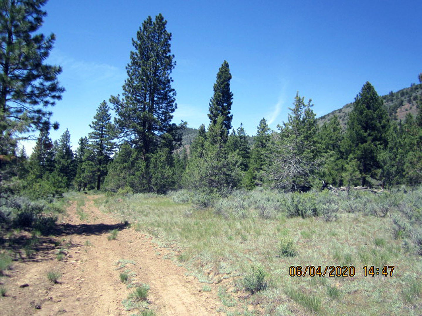 38 Twp Rnge 9 Sec 9 Sw4nw4 Road Klamath Falls, OR 97601 - Photo 17 of 19 Anderson-17