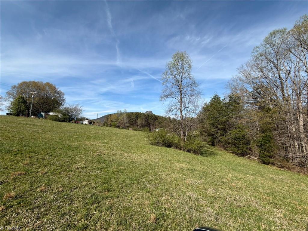 3.04 Ayers Road Pinnacle, NC 27043 - Photo 10 of 35