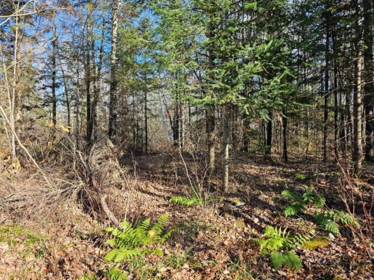5913 North Adventures Trail Mercer, WI 54547 - Photo 3 of 15 Gallery Image 3