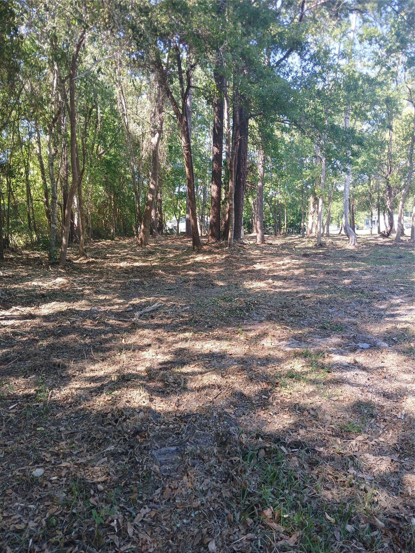 54075 Roy Booth Road Callahan, FL 32011 - Photo 5 of 20 Gallery Image 5