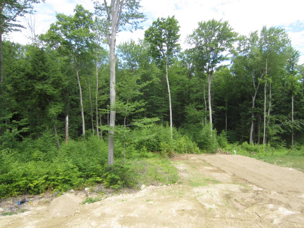 27-16 Hartford Brook Road Deerfield, NH 03037 - Photo 4 of 22 Gallery Image 4