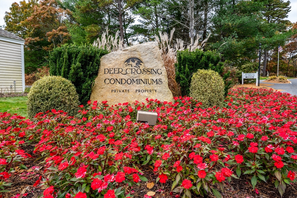 121 S Shellback Way, Unit 121 Mashpee, MA 02649 - Photo 3 of 23 a picture of flowers