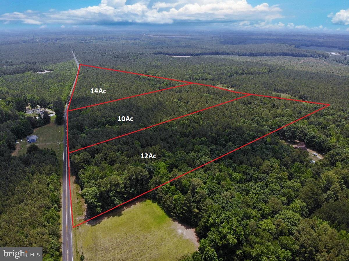0 Salisbury Road Spring Grove, VA 23881 - Photo 12 of 23