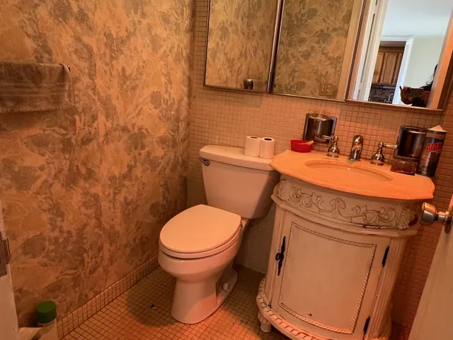 a bathroom with a sink and a toilet