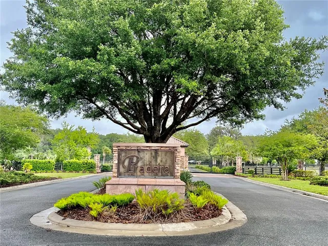 a view of a swimming pool with a garden