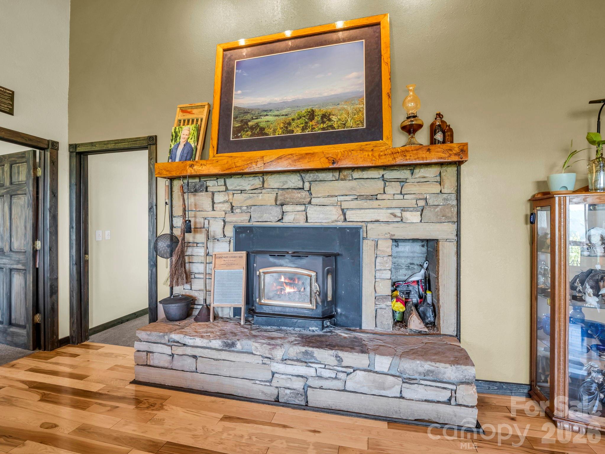 1025 Jeter Mountain Road Penrose, NC 28766 - Photo 6 of 48