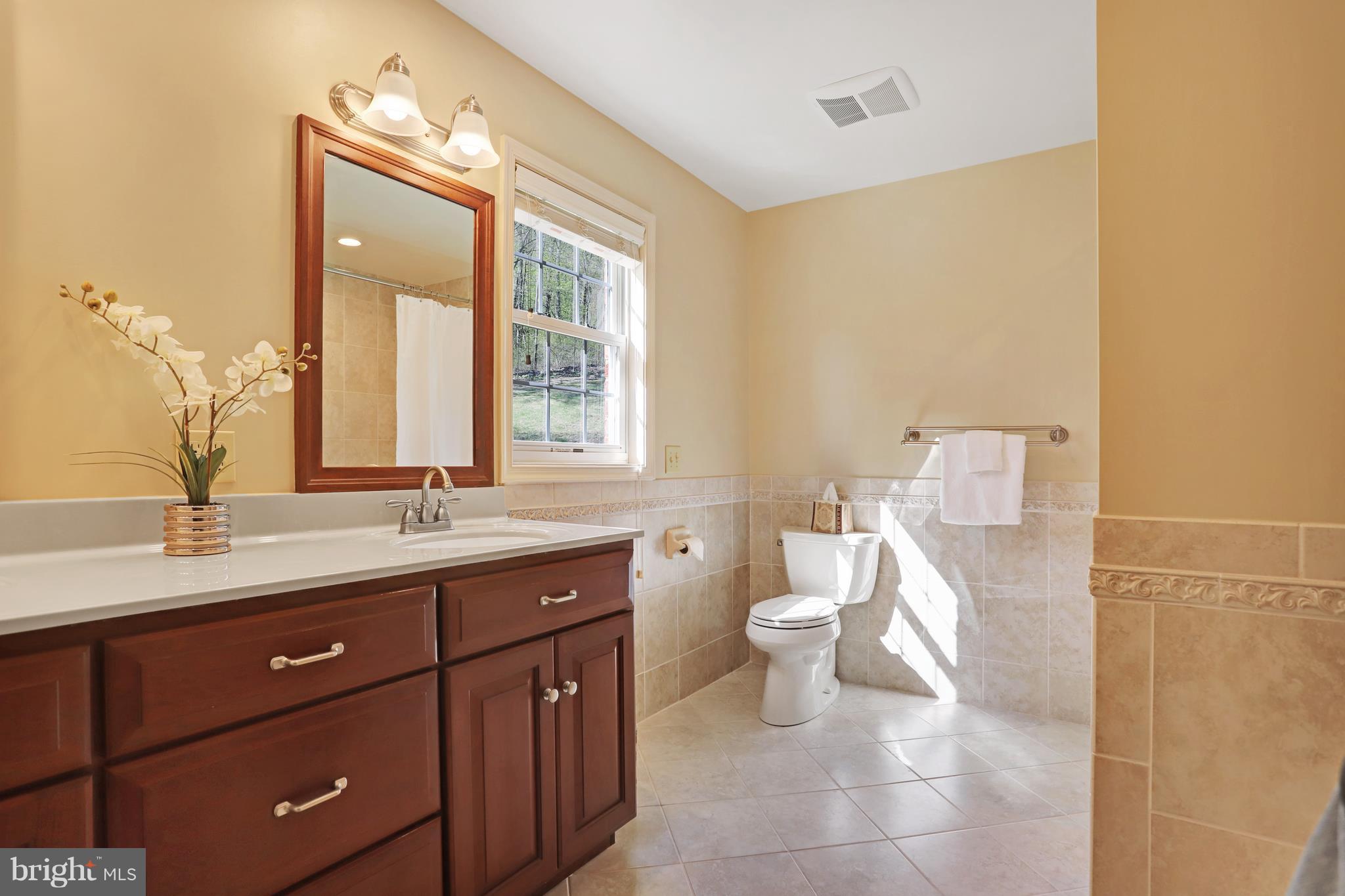 21163 Greenbrier Road Boonsboro, MD 21713 - Photo 18 of 30 Bath (Master)