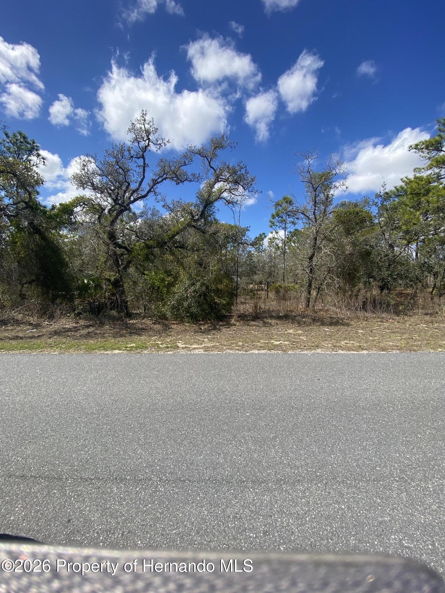 14312 Dusky Warbler Road Brooksville, FL 34614 - Photo 2 of 3