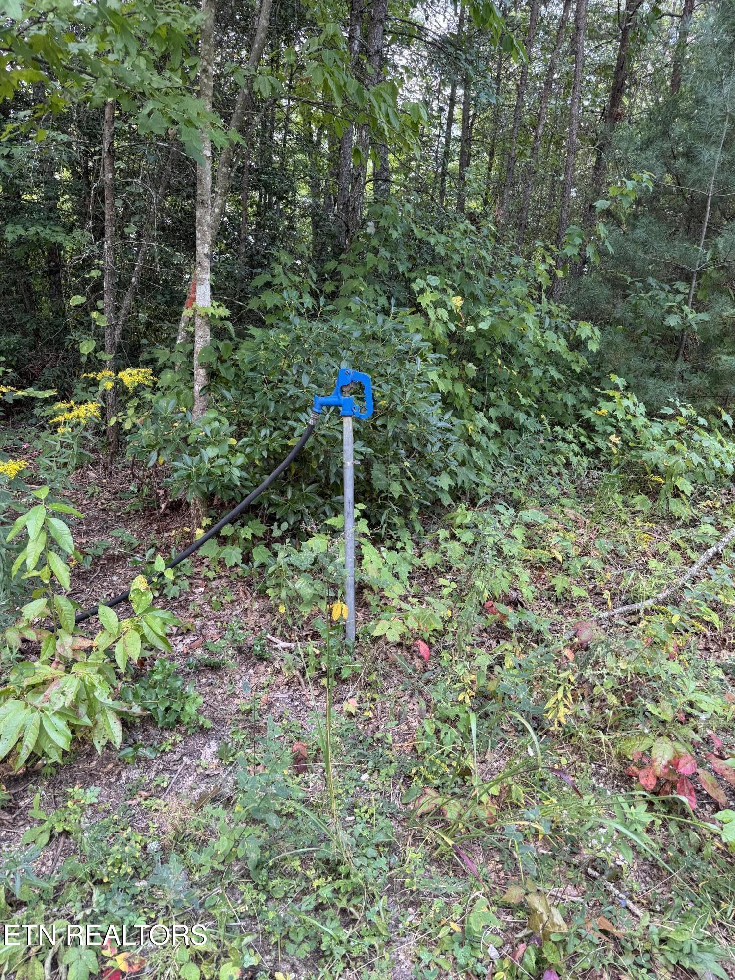 837 Bear Hollow Road Oneida, TN 37841 - Photo 5 of 12 bh water