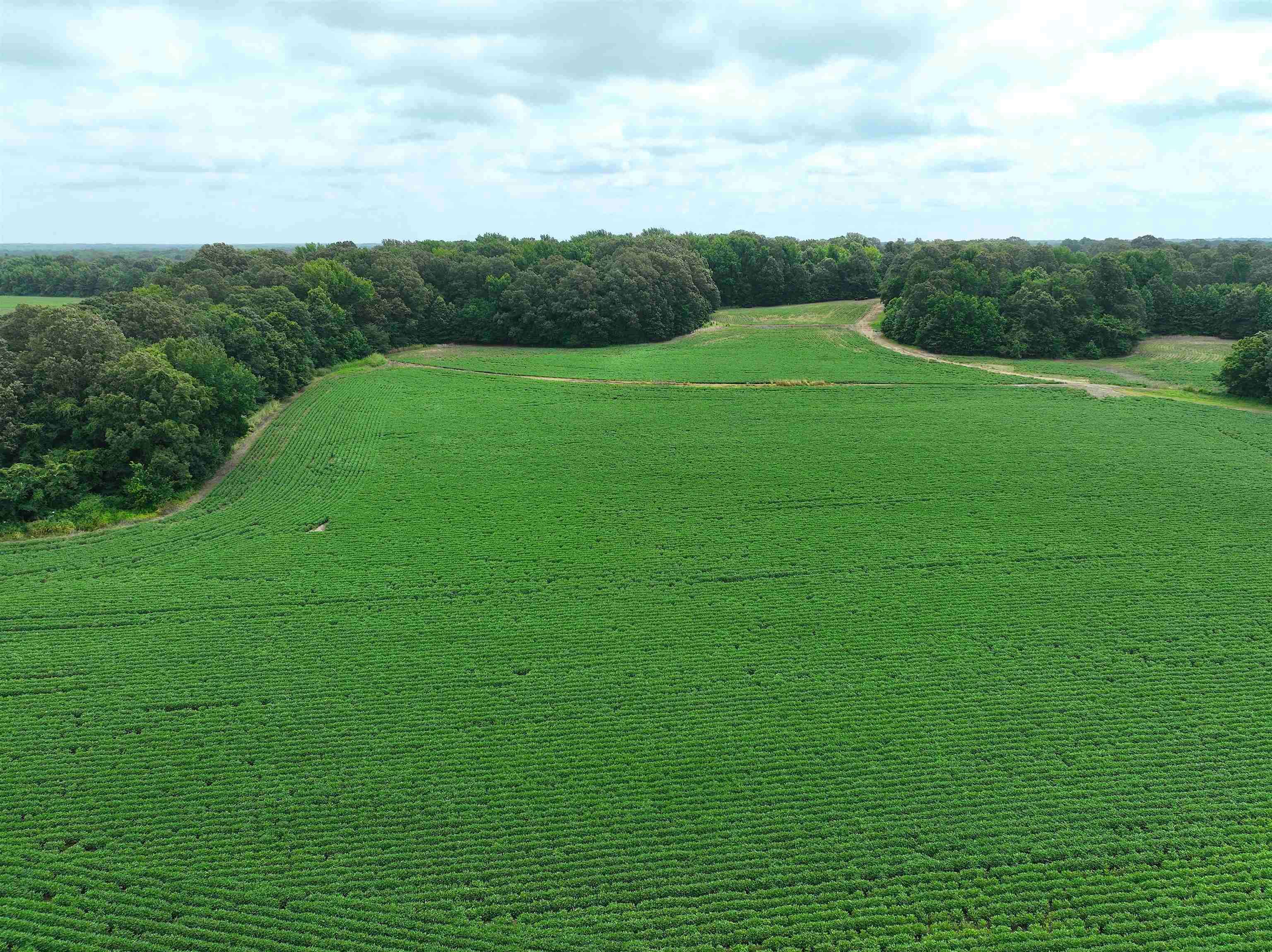 2265 Wirt Road Oakland, TN 38060 - Photo 17 of 24 Drone / aerial view