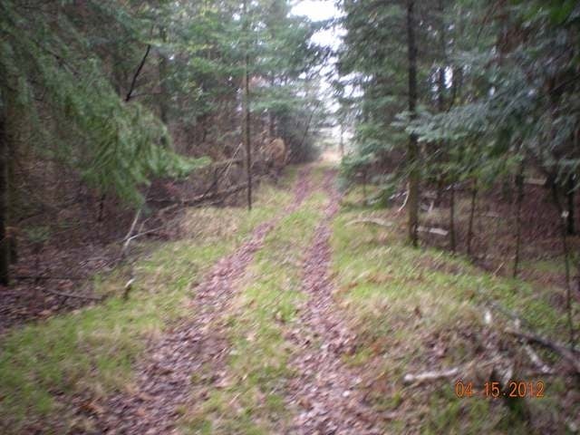 On Popple Road Antigo, WI 54409 - Photo 18 of 18 Gallery Image 18